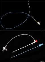 Catheter and Vascular Sheath